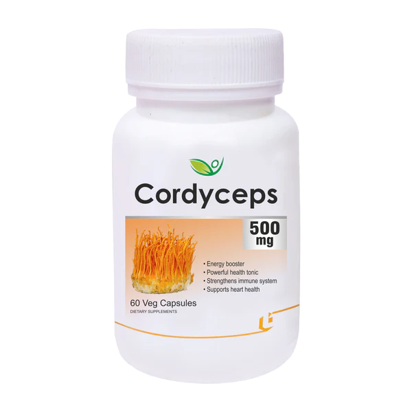 Contract Manufacturing Cordyceps: Unleashing the Power of Nature